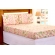 Jg Lençol Microfibra p.p. Casal 03 Pçs Estampas Diversas